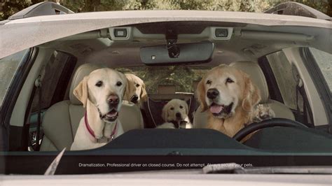 subaru dog commercials